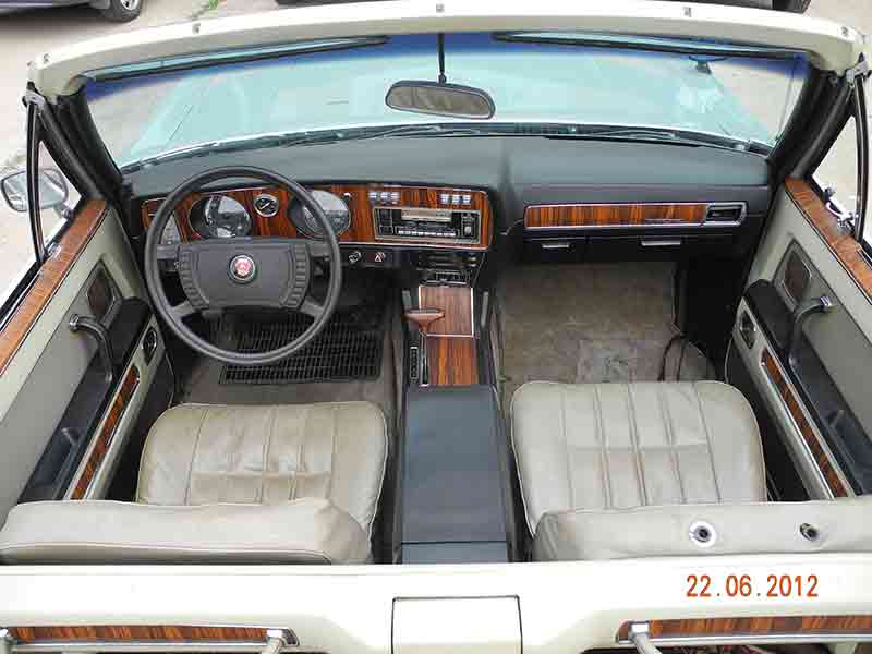 Чайка Чайка