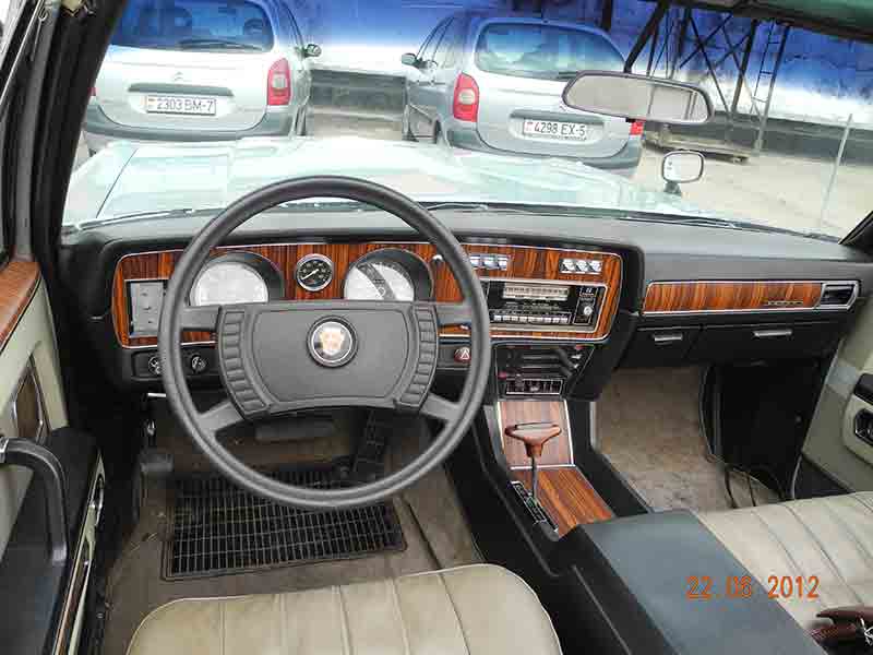 Чайка Чайка