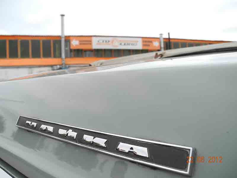 Чайка Чайка